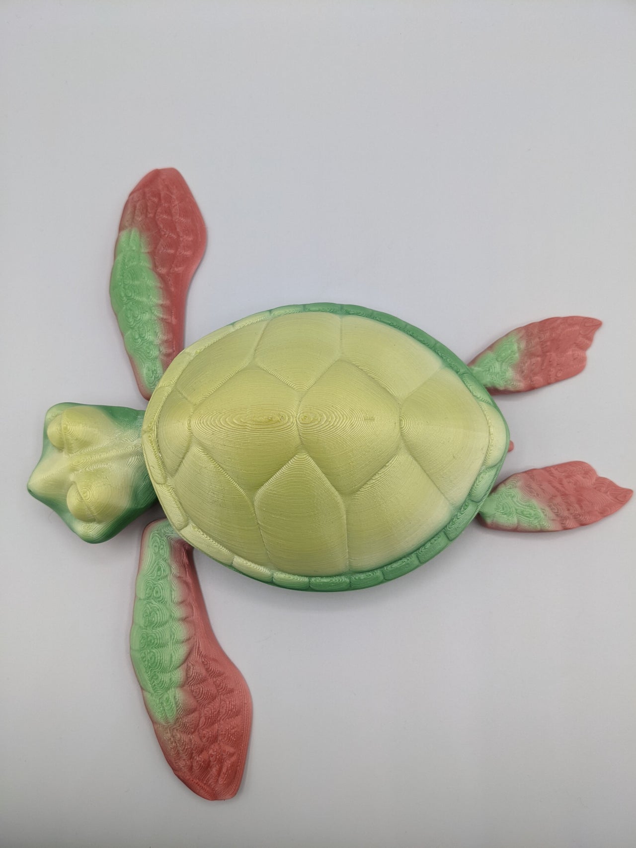 Flexi Turtle