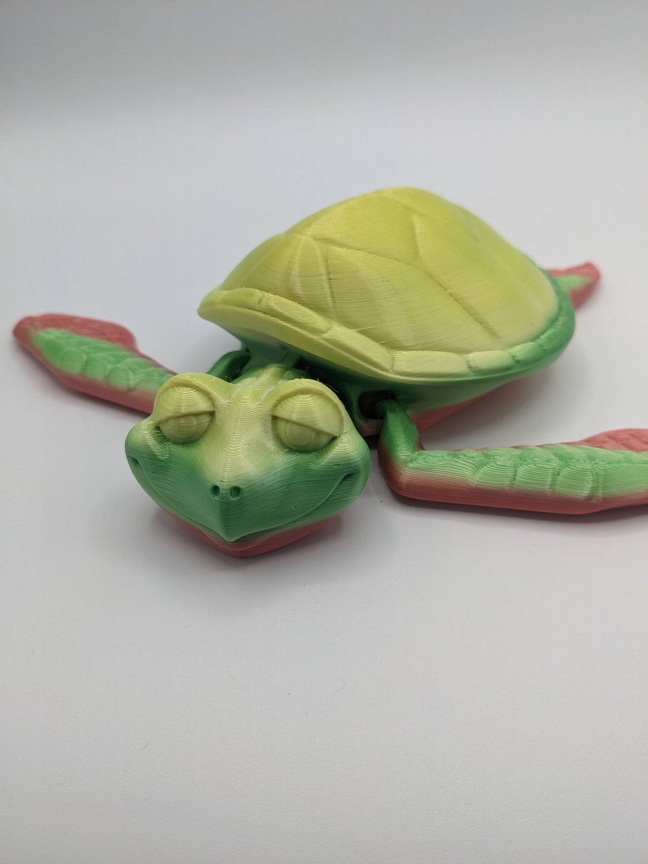 Flexi Turtle